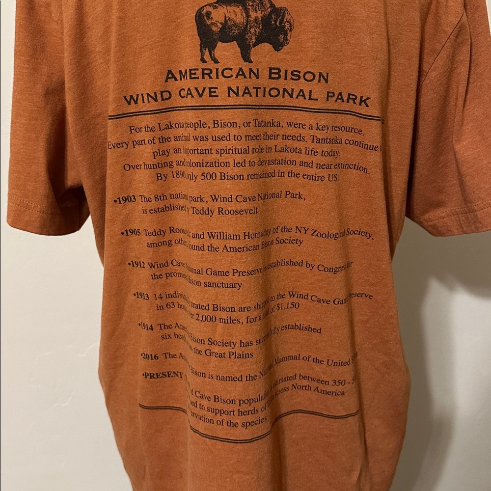 Bison Nation Park Graphic Tee - Picture 3 of 4